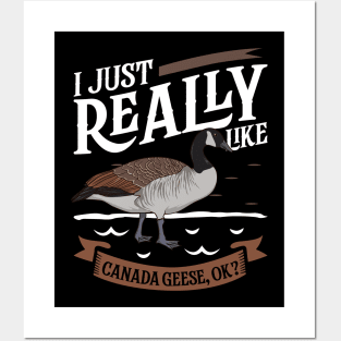 I just really like Canada Geese Posters and Art